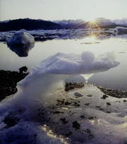 At the end of the ice age, the ice caps melt away almost entirely (A Natural History of the Future)