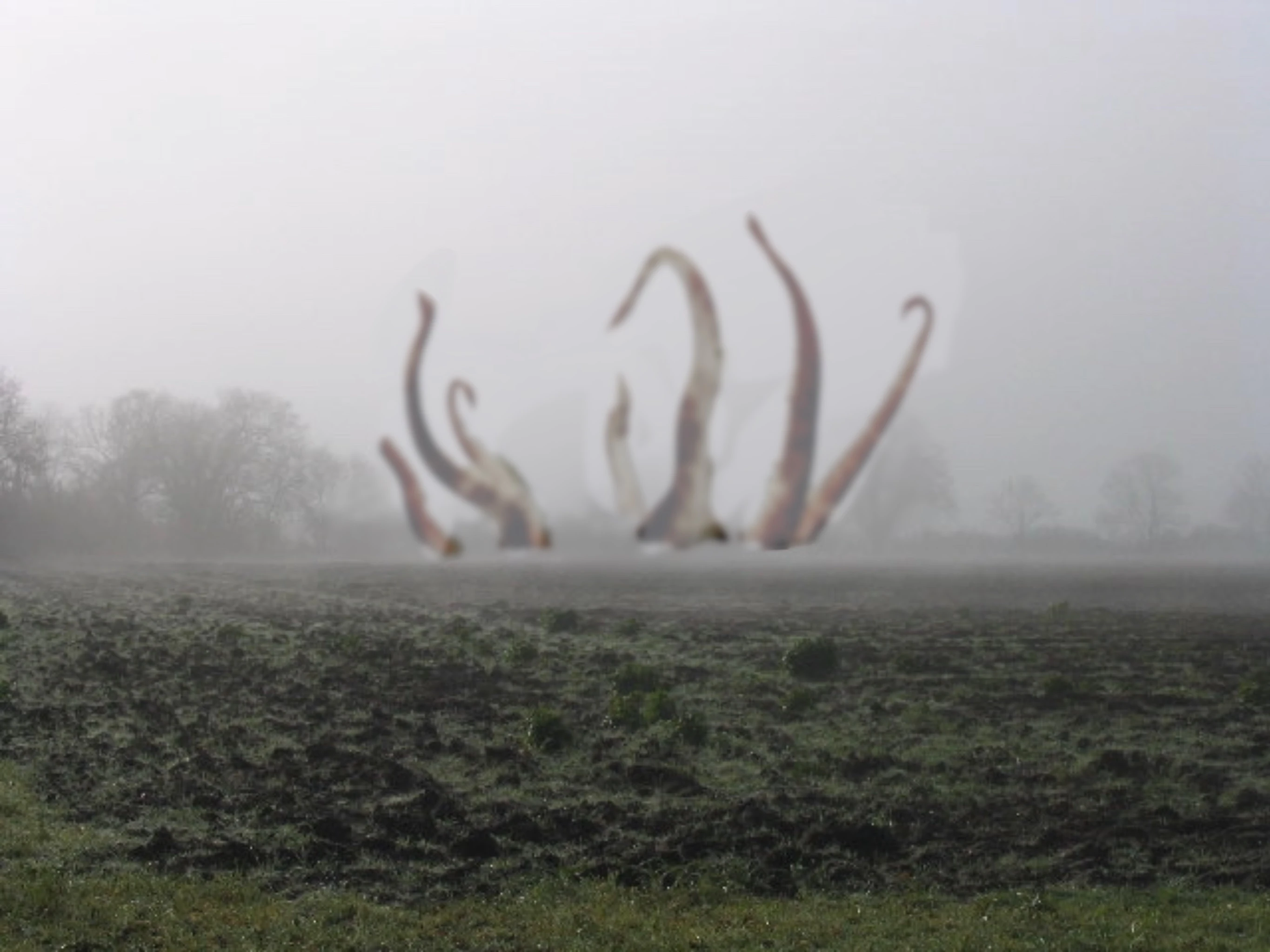 The Cravats – The Land Of The Giants The Land Of The Giants | The Cravats