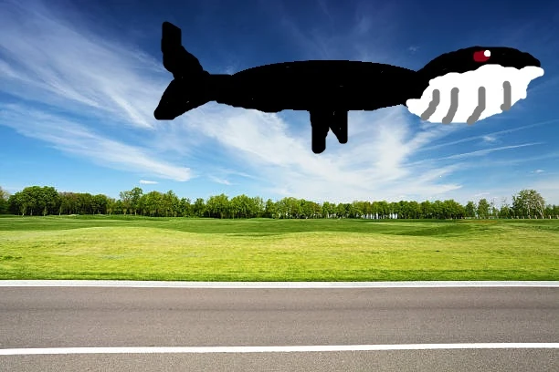 Aircraft black whale | The giants Trevor Henderson creations Wiki | Fandom