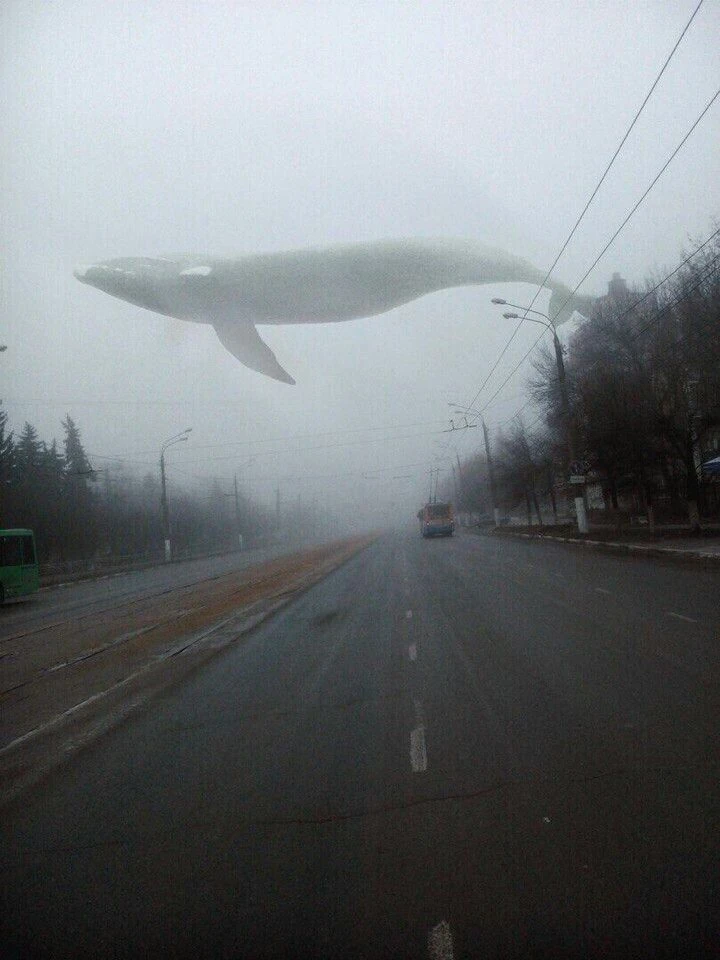 Aircraft right whale | The giants Trevor Henderson creations Wiki | Fandom