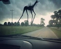 Featured image of post View 18 Trevor Henderson Giants Wiki