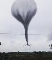 The Spider Balloon | The giants Trevor Henderson creations Wiki | Fandom