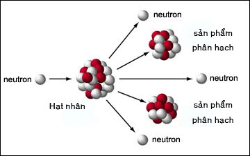 Phản Ứng Hạt Nhân Tự Phát