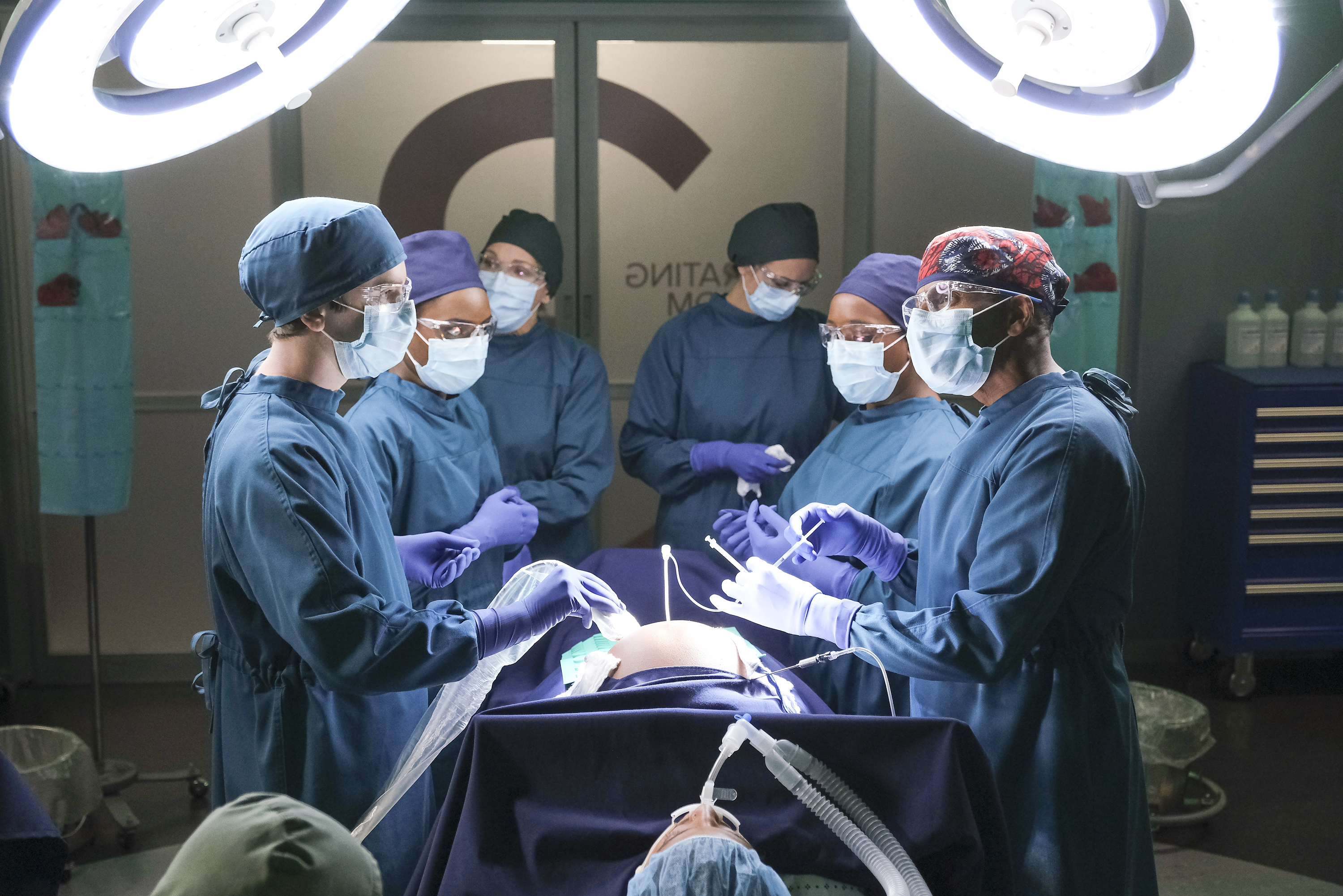 Newbies The Good Doctor Wiki Fandom