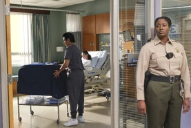 502Promo38.jpg (3.22 MB)