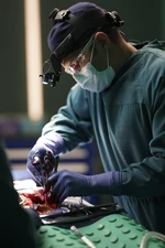 215Promo (15).jpg (1.21 MB)