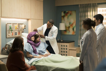 Islands Part One The Good Doctor Wiki Fandom