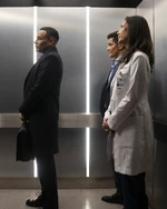 213Promo (14).jpg (1.65 MB)