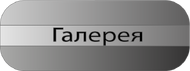GalleryTabBtn.png