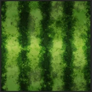 Текстура арбуза в игре.