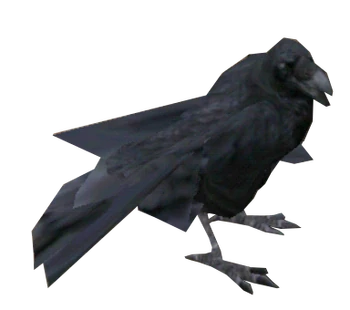 Crow
