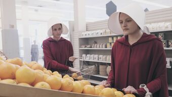 The Handmaid S Tale Tv Series The Handmaid S Tale Wiki Fandom