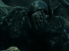 Shelob