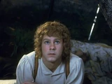 Merry Brandybuck