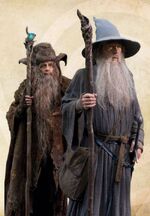 Wizards