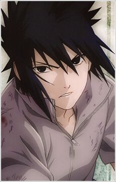 Sasuke clássico, Wiki