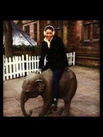 Tweeted by Alexandra: "#nbd just riding elephants in Chester".