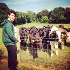 Tweeted by Brad 13 hours ago: "Did you know I can talk to cows? #hiddentalent".