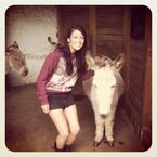 Tweeted by Jade 3 hours ago: "Litttleeeeee donkeeyyyyyyyyy!!!".