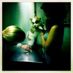 Tweeted by "David Anders" on May 31st: "Gus' first vet visit with @AlexShipppp was a success.".