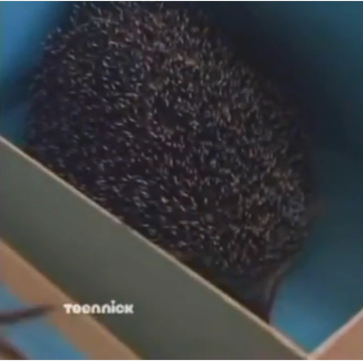 Trudy (Hedgehog) House of Anubis Wiki Fandom
