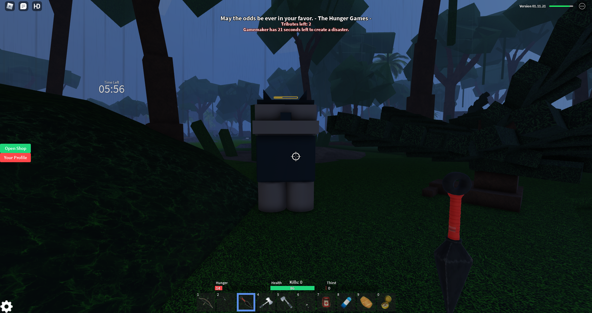 ROBLOX HUNGER GAMES 