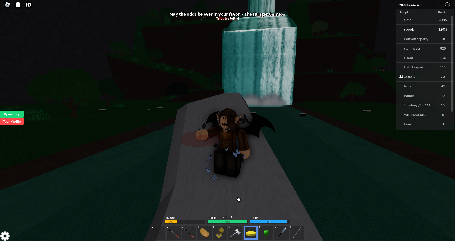 ROBLOX HUNGER GAMES 