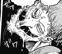 Dodou Mid Transformation