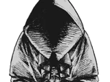 Red Hood