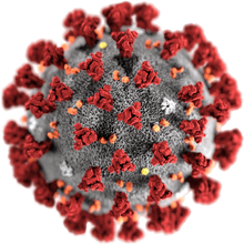 Coronavirus-1