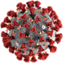 Coronavirus-1.png
