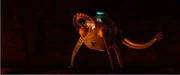 TI Omnidroid Pierced