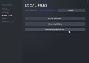 Steam local files