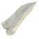 Bone Shard