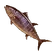 Dried Tuna