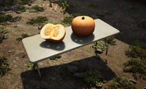 Pumpkin In-game