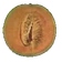 Melon Half