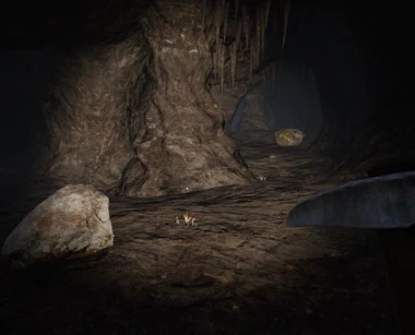 Mushrooms grow only in caves but can be hard to spot without a good light.