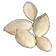 Pumpkin Seeds