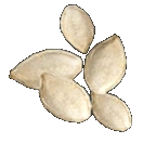 Pumpkin Seeds