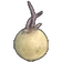 Potato Sprout