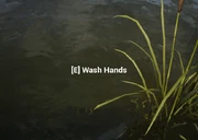 Wash Hands
