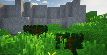 2019-01-26 06.33.07.png