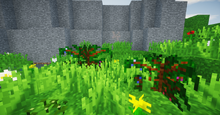 2019-01-25 07.07.26.png