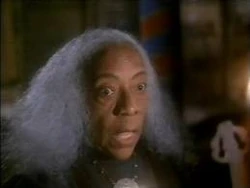 Zara Cully