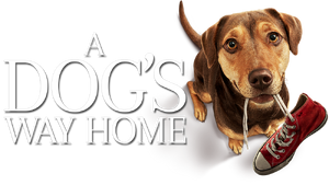 A Dog S Way Home Credits The Jh Movie Collection S Official Wiki Fandom