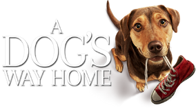 A Dog s Way Home Credits The JH Movie Collection s Official Wiki Fandom