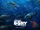 Finding Dory