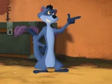 Shackelford