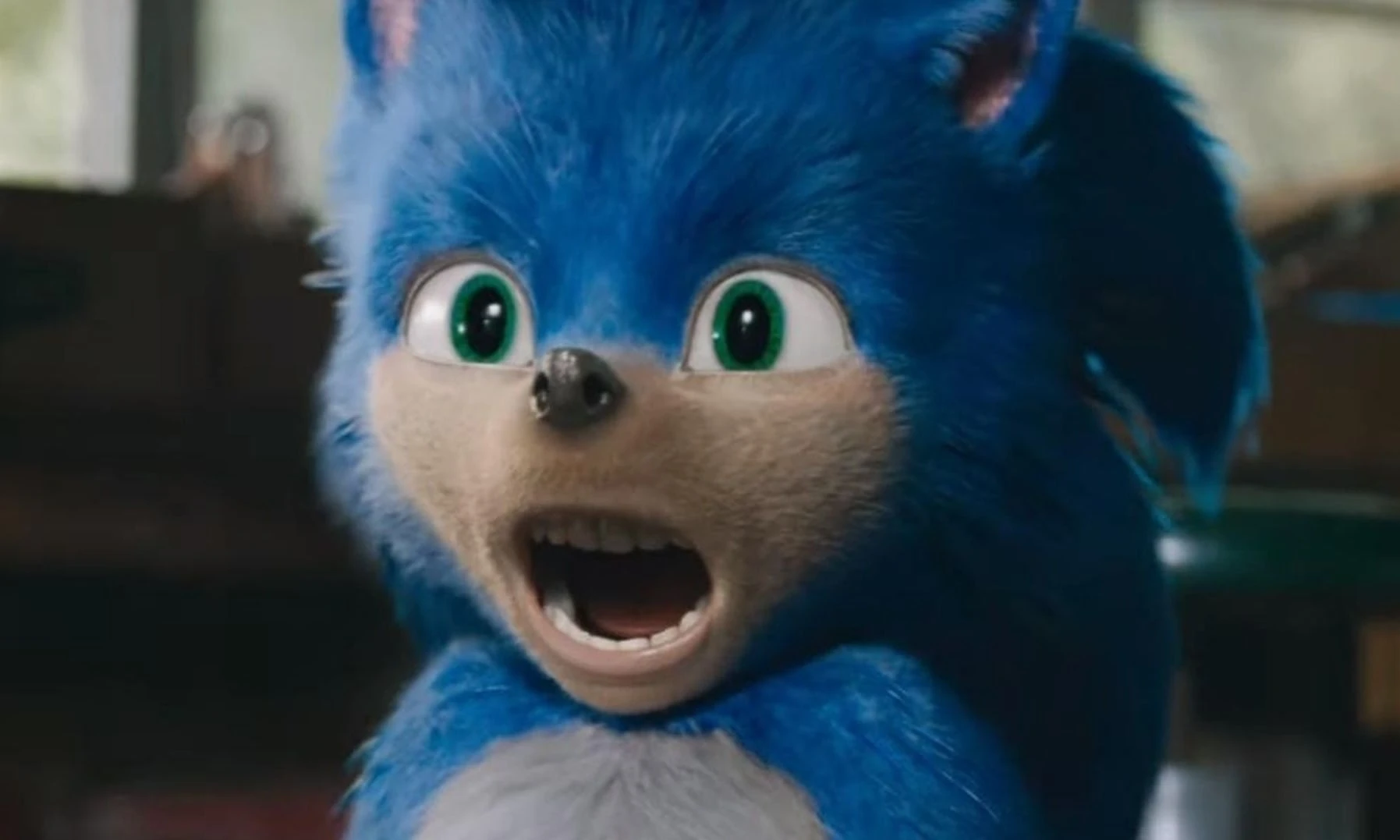 Sonic The Hedgehog Film The Jh Movie Collection S Official Wiki Fandom